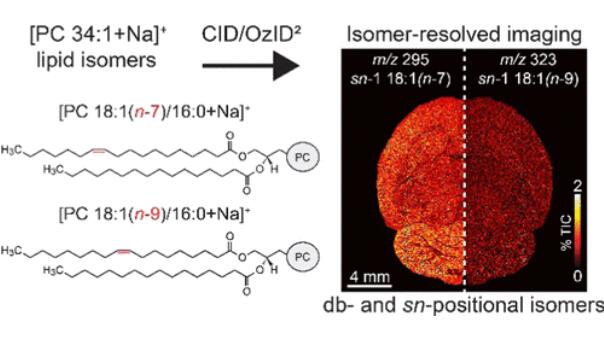 使用美國(guó)2B 106-L的論文：臭氧誘導(dǎo)解離的異構(gòu)體(圖2)